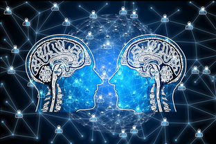 开云·体育官网-篮球专项技能动作视频资源开发及多媒体教学，篮球动作技术