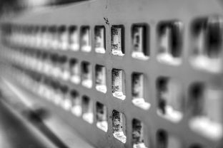 开云娱乐-青少年运动损伤预防技术及实践研究，青少年运动损伤预防技术及实践研究论文