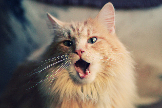 kaiyun开云·官方网站-波兰队国际乒联混合团体世界杯的表现解读:如何通过战术突破强队