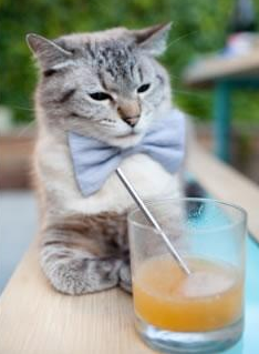 开云体育视频直播-球队是否依据对手站位密度调整控球时间段分配,球队队员位置的调整是量变吗