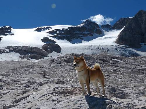 开yun体育-乌拉圭队士气高昂,期待在世界杯上创造佳绩