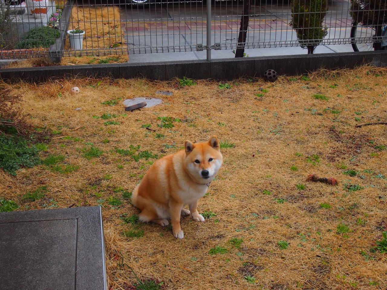 kaiyun体育综合-哈登迎来挑战中超联赛，哈登的比赛