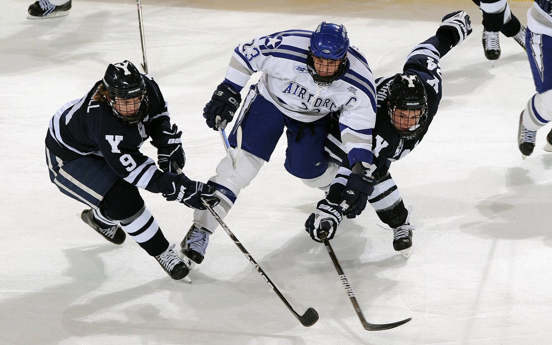 体育新闻中心协办全国体育数字传媒创新大会，体育数字化平台