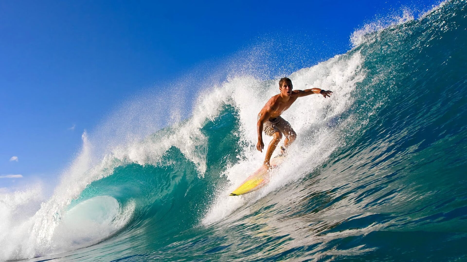 体育新闻中心赛事数据解读，体育赛事新闻报道